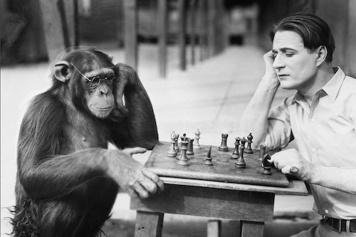 monkey and man playing chess, black and white photo